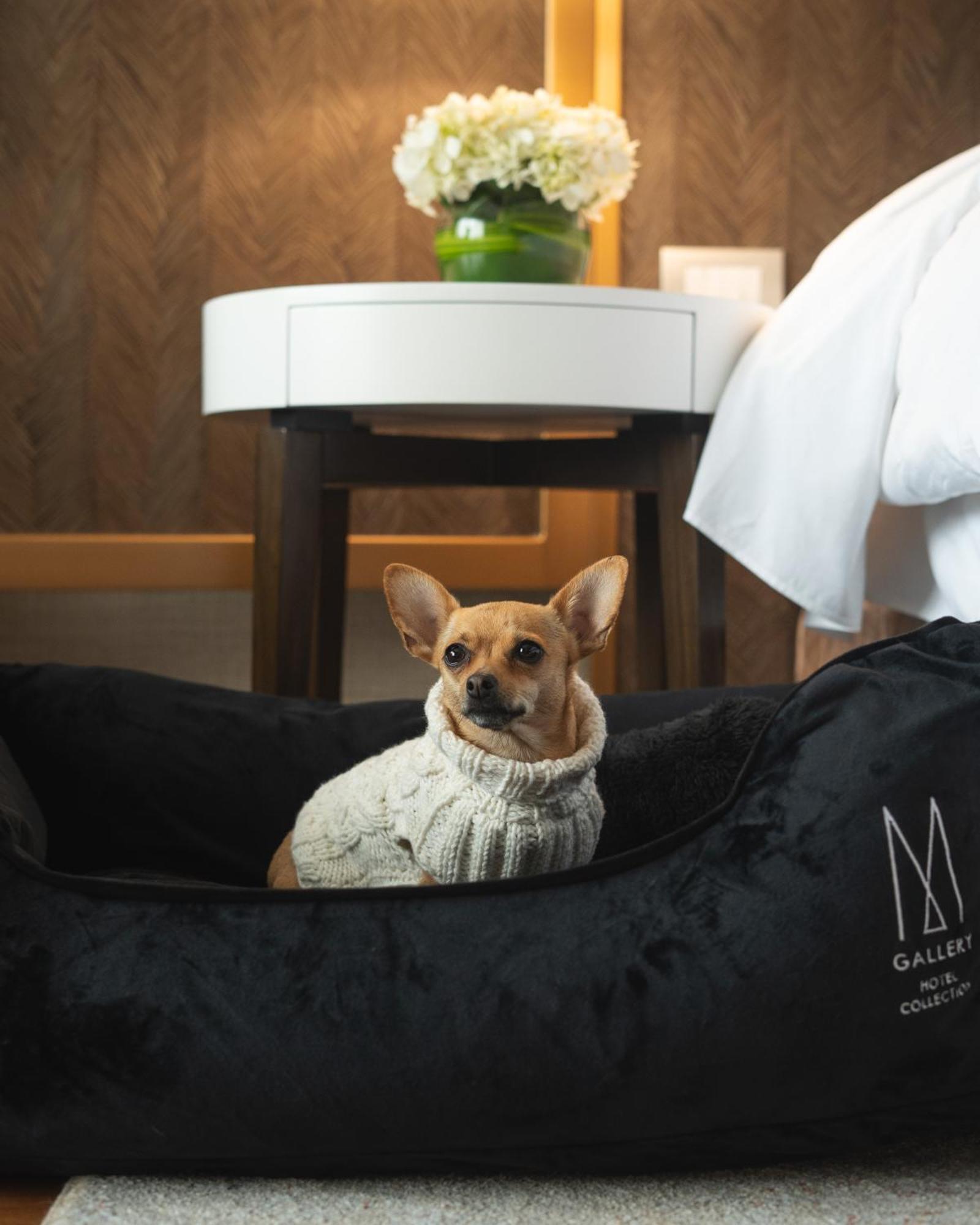 Manto Hotel Lima - Mgallery Εξωτερικό φωτογραφία